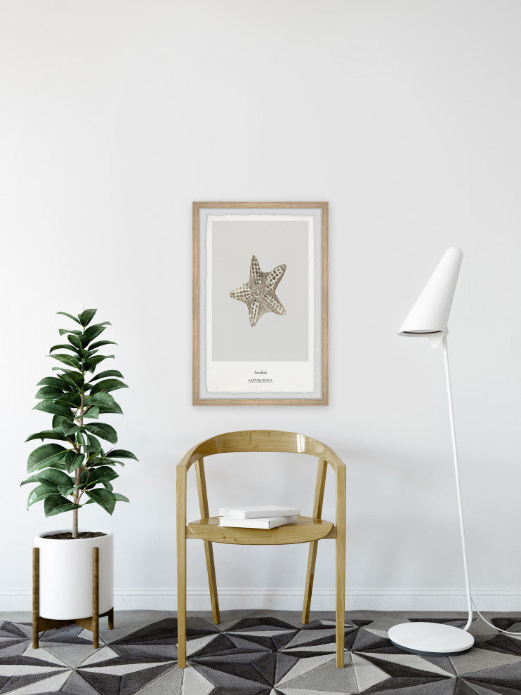 "Asteroidea" Framed Painting Print, 30x45