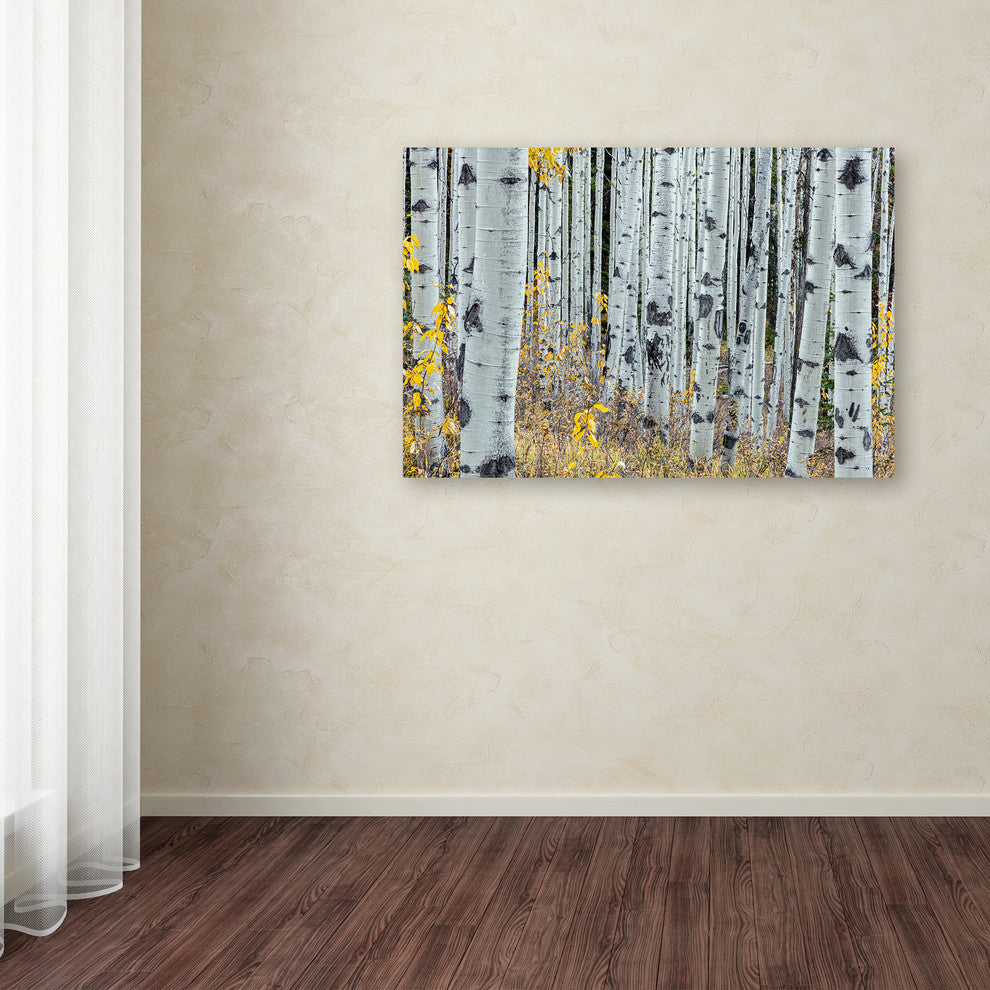 Pierre Leclerc 'Forest Of Aspens' Canvas Art, 47x30