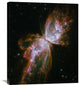 "Butterfly Nebula" Artwork, 25"x30"