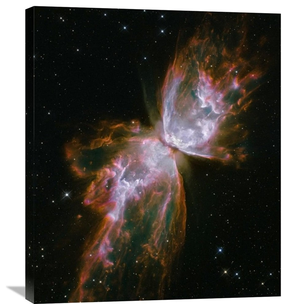 "Butterfly Nebula" Artwork, 25"x30"