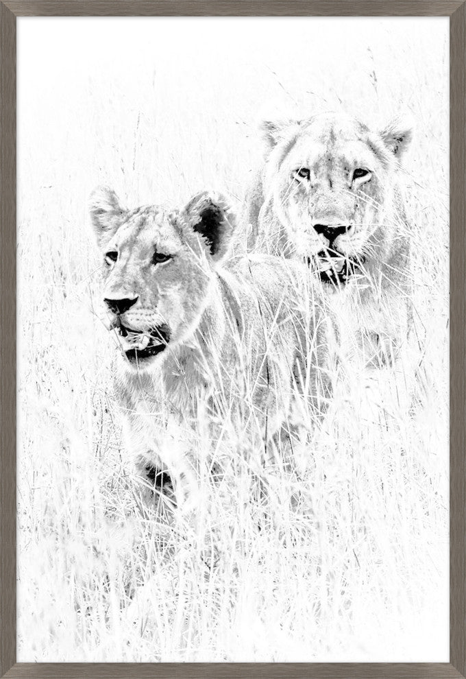 Wild Calling 3, Giclee Reproduction Artwork