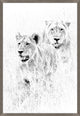 Wild Calling 3, Giclee Reproduction Artwork