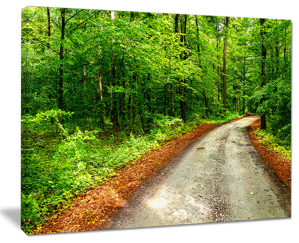 "Pathway in Deep Moss Forest" Landscape Art Print Canvas, 20"x12"