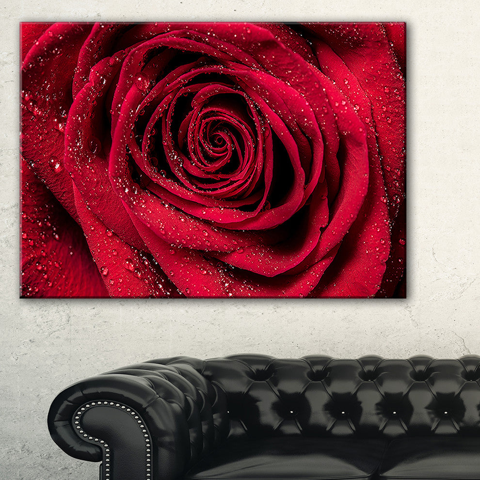 "Red Rose Petals With Rain Droplets" Canvas Print, 40"x20"