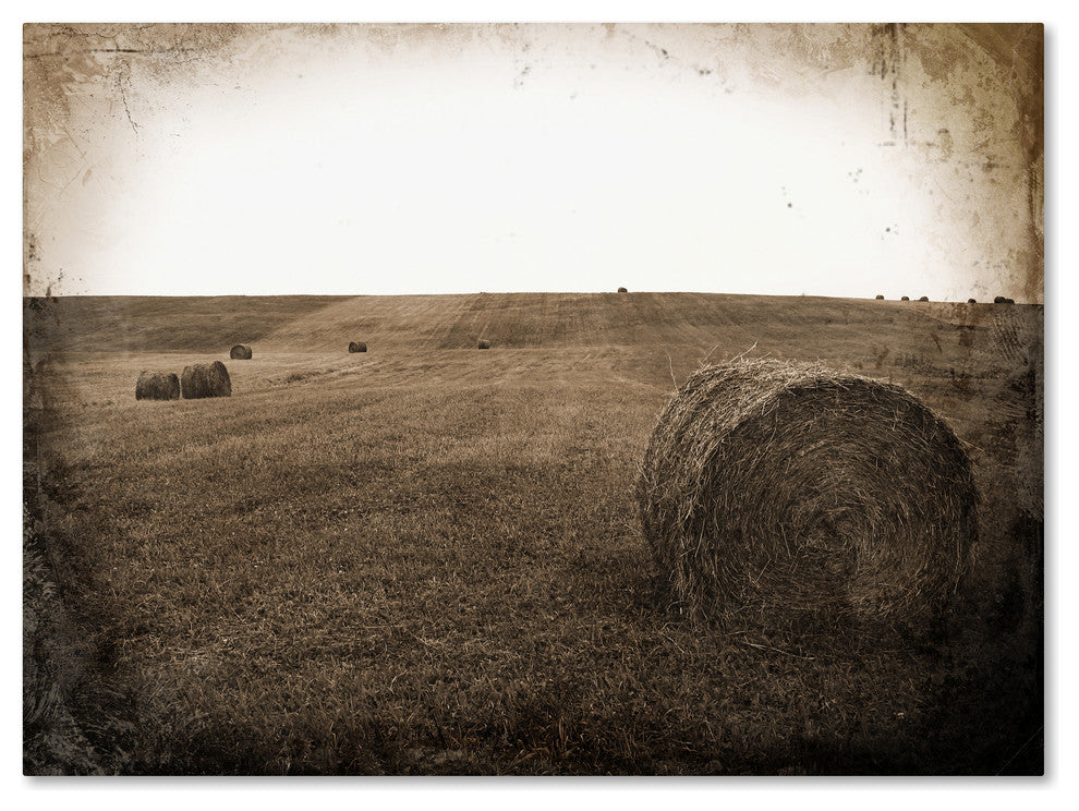 Tina Lavoie 'Time Jump' Canvas Art, 14" x 19"