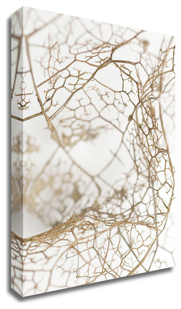 Leaf Skeleton by Design Fabrikken, Print on Canvas, 20"x28"