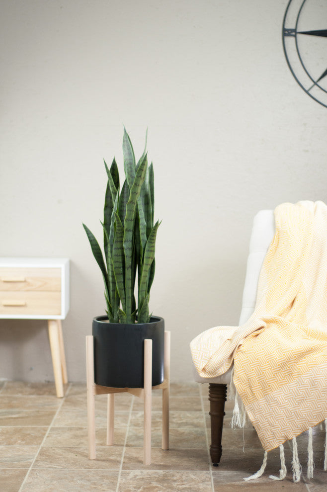 Large Ceramic Cylinder Pot 10" Black With Wood Plant Stand Natural Color