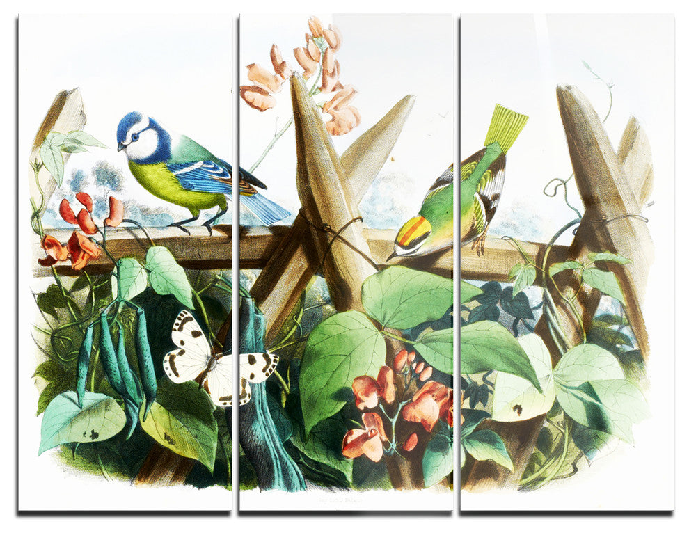 "Colorful Birds Sitting on Branches" Metal Wall Art, 3 Panels, 36"x28"