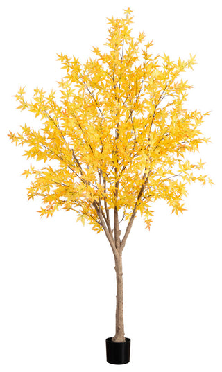 Lifestyle scene showing the single tree in a home setting.