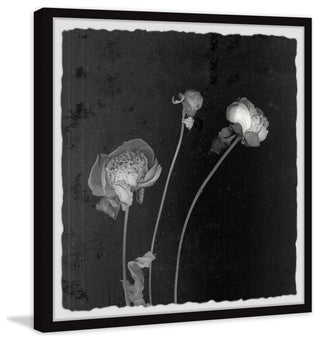 "Floral Impression" Framed Painting Print, 24x24