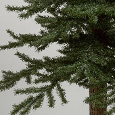 Vickerman 2' 3' 4' Natural Bark Alpine Tree Set - B907305