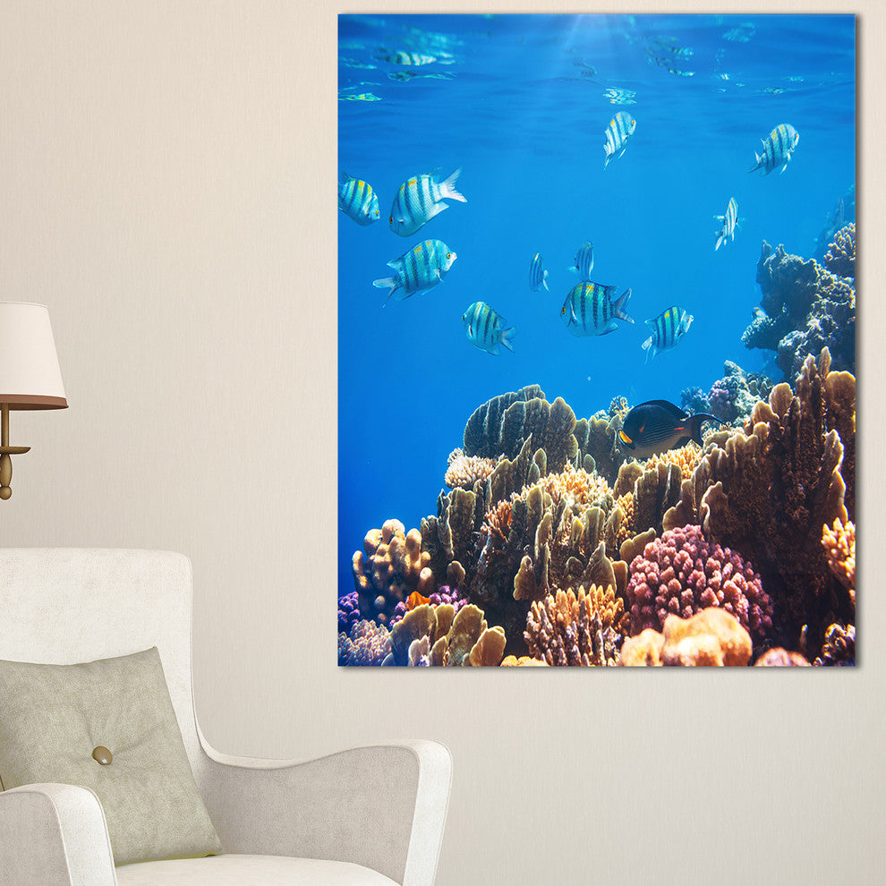 "Bright Blue Waters and Coral Fish" Seashore Canvas Print, 16"x32"