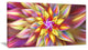 Large Multi Color Alien Fractal Flower, Floral Canvas Art Print, 40x20