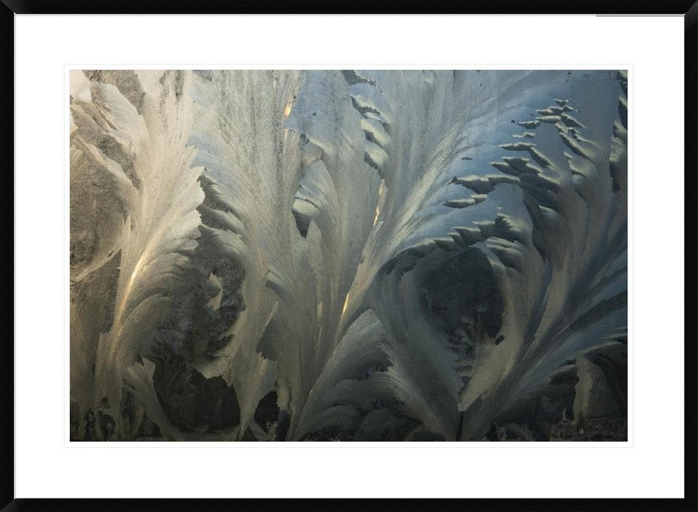 Frost Crystal Patterns On Glass, Ross Sea, Antarctica, 36"x26"