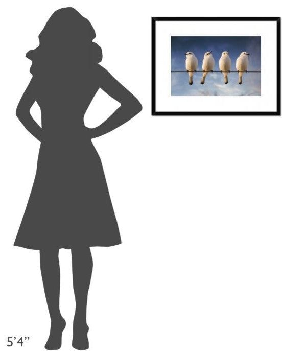 "White Monjita" Framed Digital Print by Chechi Peinado, 26"x20"