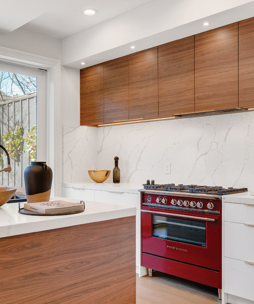 DALS Lighting 4" Smart RGB+CCT Regressed Recessed Light