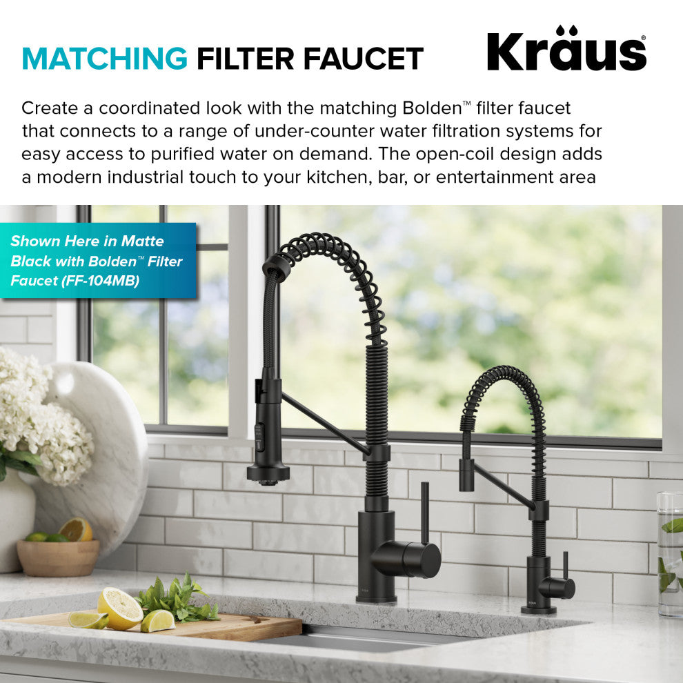 Bolden Commercial Style 2-Function Pull-Down 1-Handle 1-Hole Kitchen Faucet, Matte Black/ Stainless Black