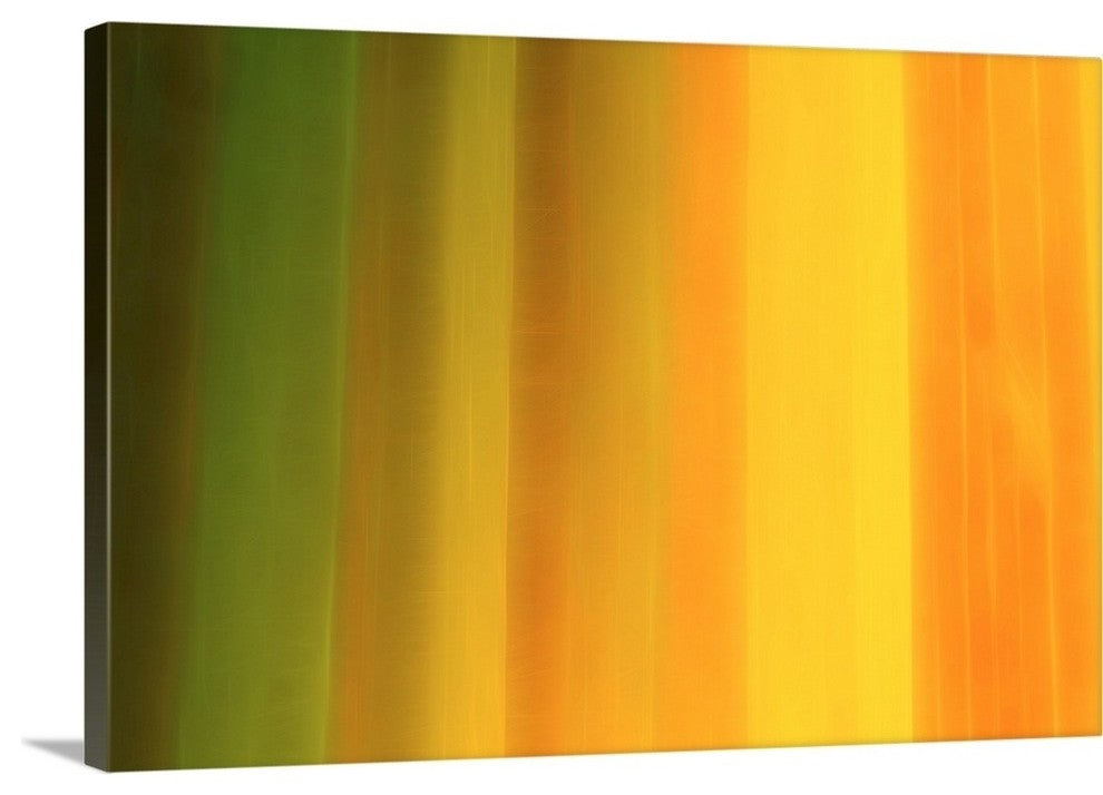 "Warm Tonality" Wrapped Canvas Art Print, 36"x24"x1.5"