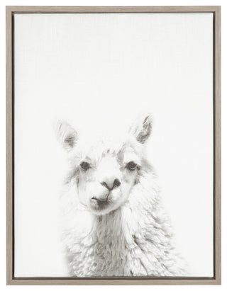 Alpaca Portrait Black and White Framed Canvas Wall Art