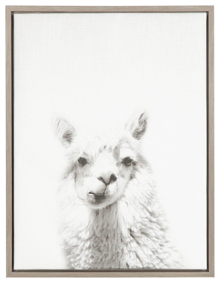 Alpaca Portrait Black and White Framed Canvas Wall Art