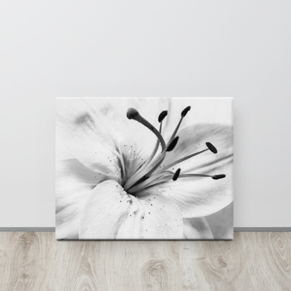 Grey Floral Canvas: High-key Lily Floral Nature Photo Wall Art Print, 16" X 20"