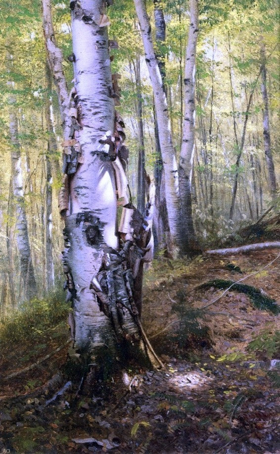 John George Brown Silver Birches, 18"x27" Wall Decal Print