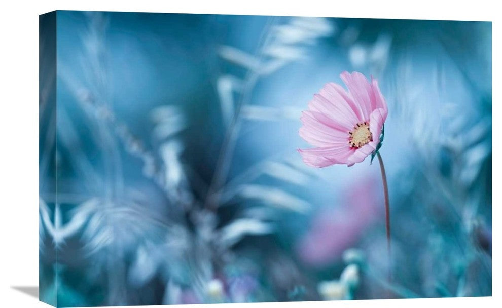 "A Walk In Dreamland" Stretched Canvas Giclee by Fabien Bravin, 22x15"