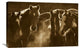 "Horse Herd At Annual Round-Up, Backlit, Ecuador - Sepia" Artwork, 30" x 20"