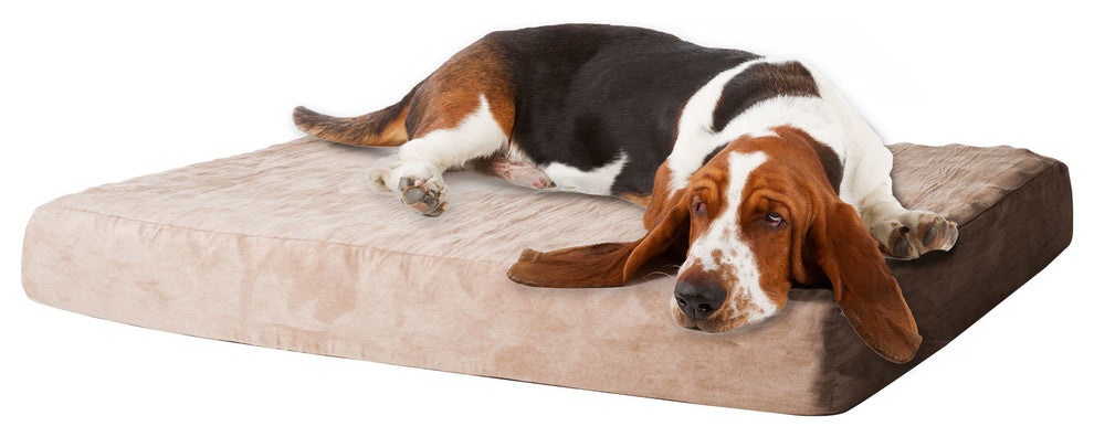 Memory Foam Pet Bed with Removable Cover, Large