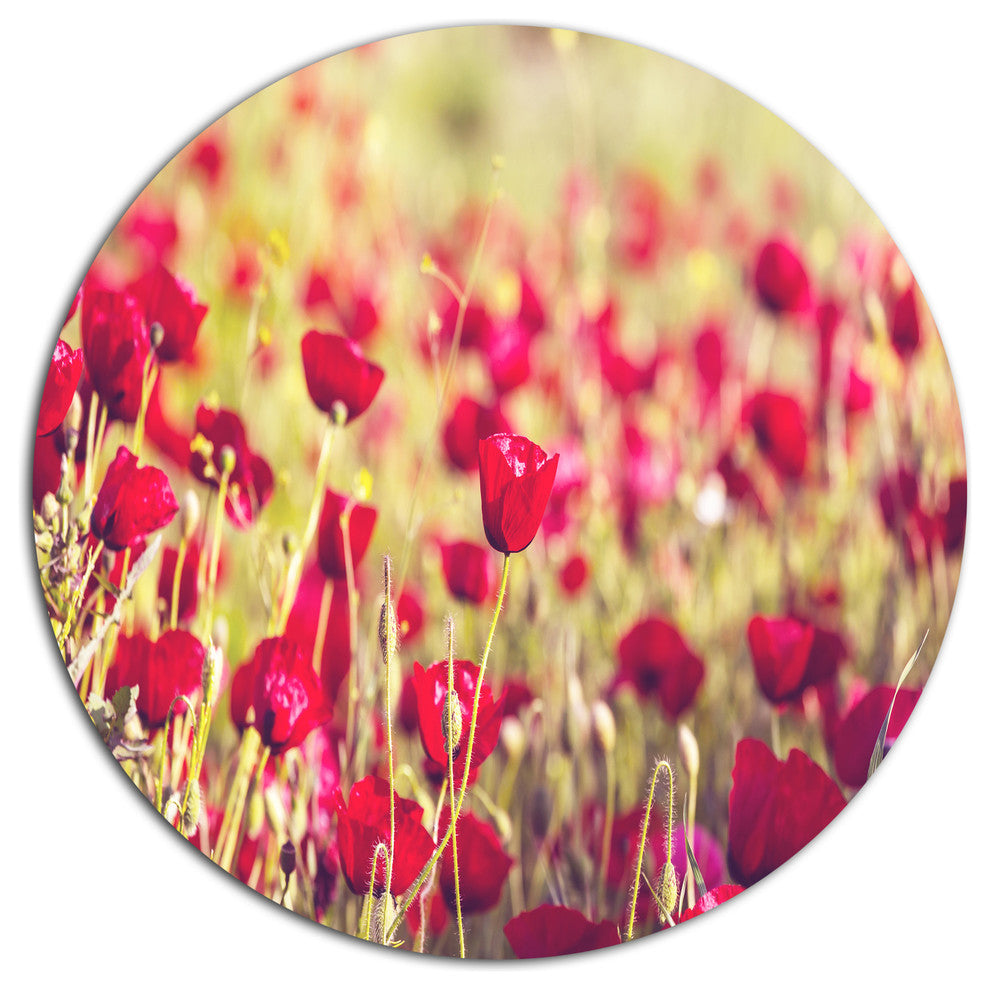 Fantastic View Of Wild Poppy Flowers, Flower Disc Metal Wall Art, 23"