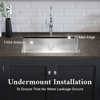Eviva Aries 30" x 18" Stainless Steel Undermount Kitchen Sink