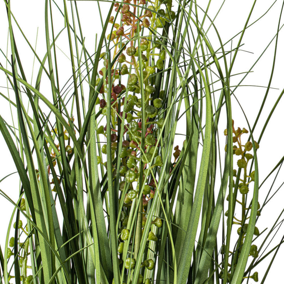 24" Green Sheep'S Grass In Pot