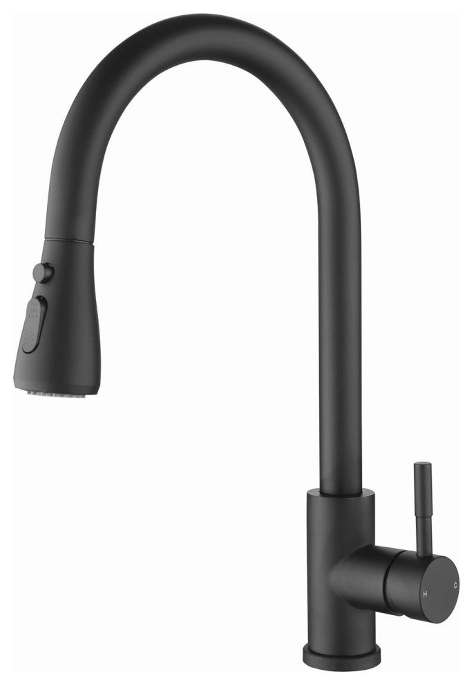 Wellfor Single-Handle Pull Down Sprayer Kitchen Sink Faucet, Matte Black