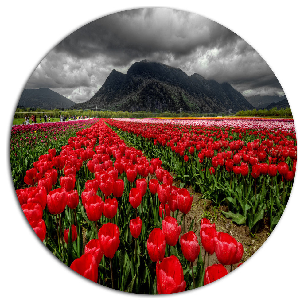 Rows Of Bright Ruby Red Tulips, Landscape Wall Round Wall Art, 36"