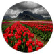 Rows Of Bright Ruby Red Tulips, Landscape Wall Round Wall Art, 36"