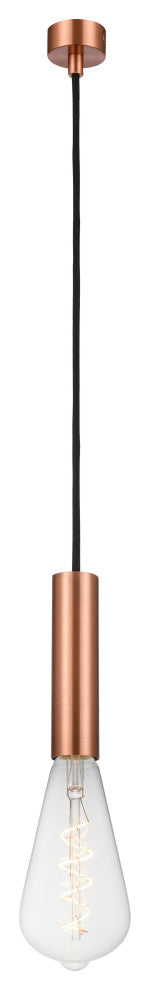 INNOVATIONS LIGHTING 198-1P-AC-BB95LED Edison 1 Light 3.75 inch Mini Pendant