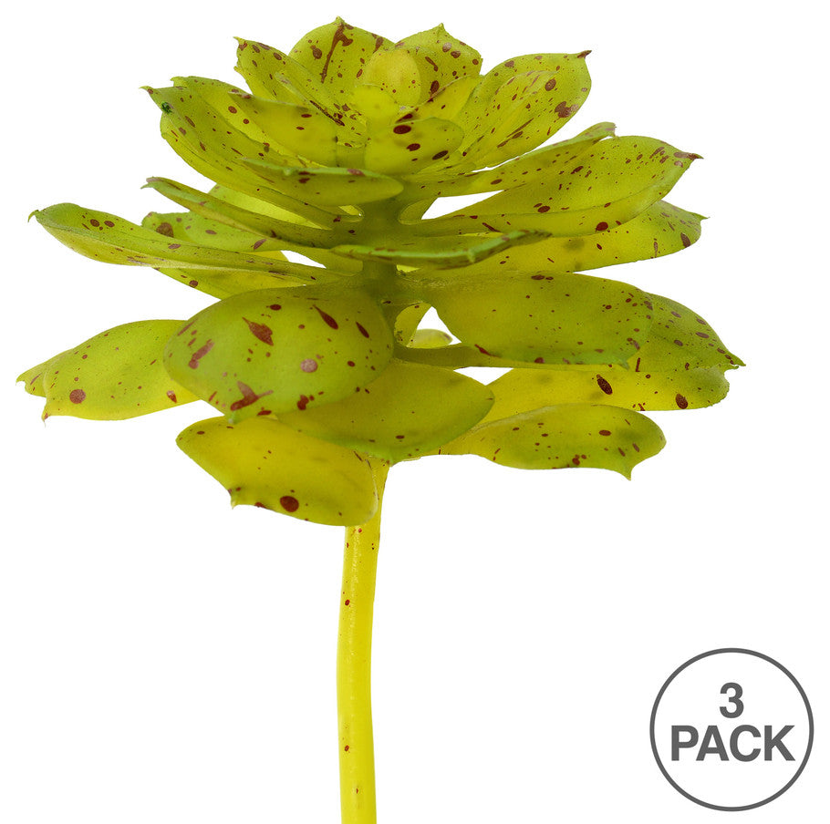 Vickerman Fo180901 6" Artificial Green And Brown Spotted Echeveria Pick