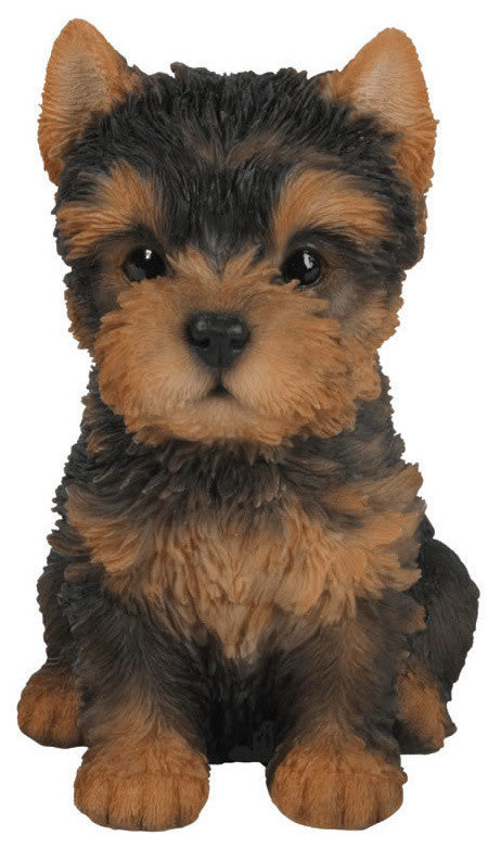 Realistic Yorkshire Terrier Puppy Garden Statue