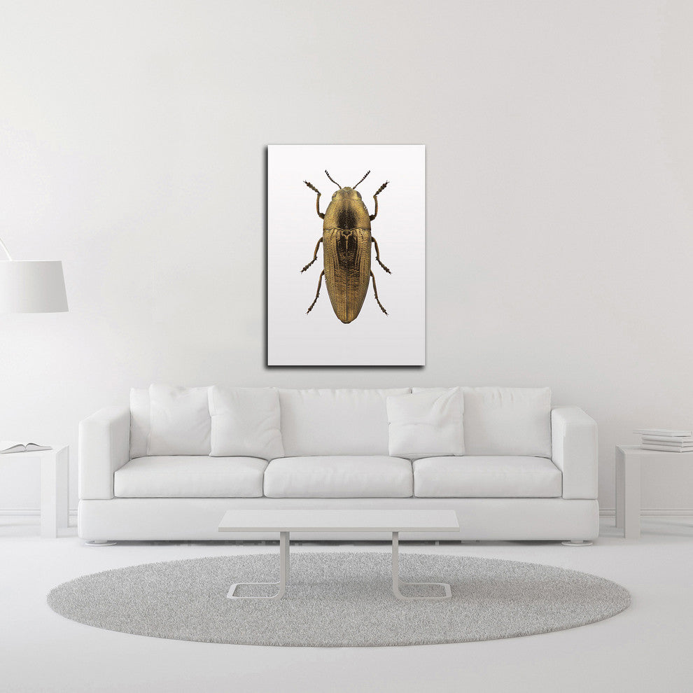 Beetle 4 by Design Fabrikken, Print on Canvas, 25"x35"