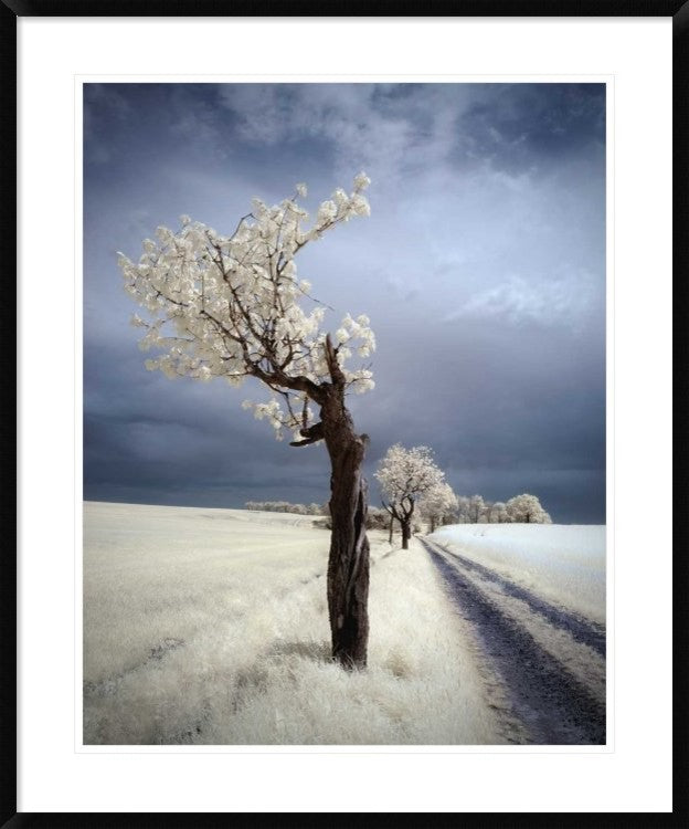 "Irenka" Framed Digital Print by Piotr (Bax) Krol, 31x38"