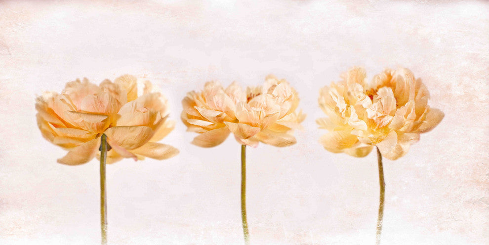 "Penoies" Painting Print on Canvas by Aryai