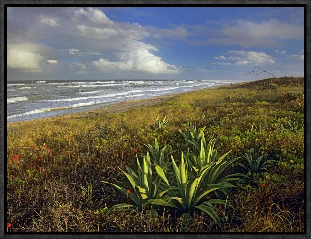 Apollo Beach At Canaveral National Seashore, Florida, 16"x12"