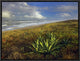 Apollo Beach At Canaveral National Seashore, Florida, 16"x12"
