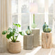 Porto Ceramic Indoor/Outdoor Side Table, Pistachio, Small