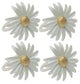 Daisy Spring Flower Painted Metal Napkin Rings, Off White, Set of 4