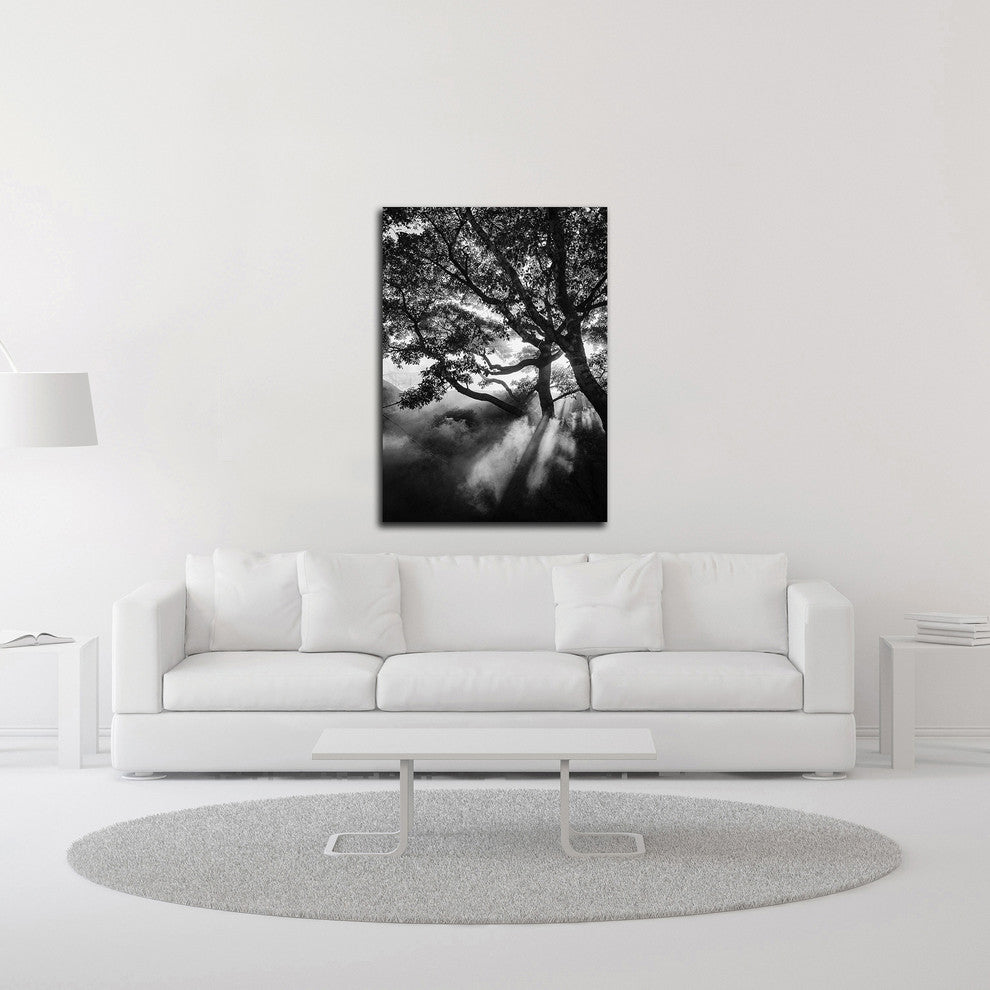 Misty Black by Design Fabrikken, Print on Canvas, 25"x35"