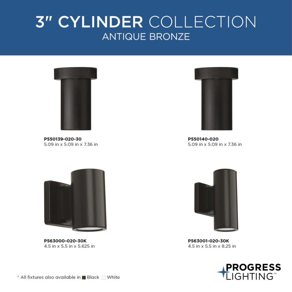 Progress Lighting P550139-30 3IN Cylinders 6"W LED Flush Mount - Black