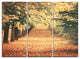 "Autumn Forest With Walking Path" Forest Metal Wall Art, 3 Panels, 36"x28"