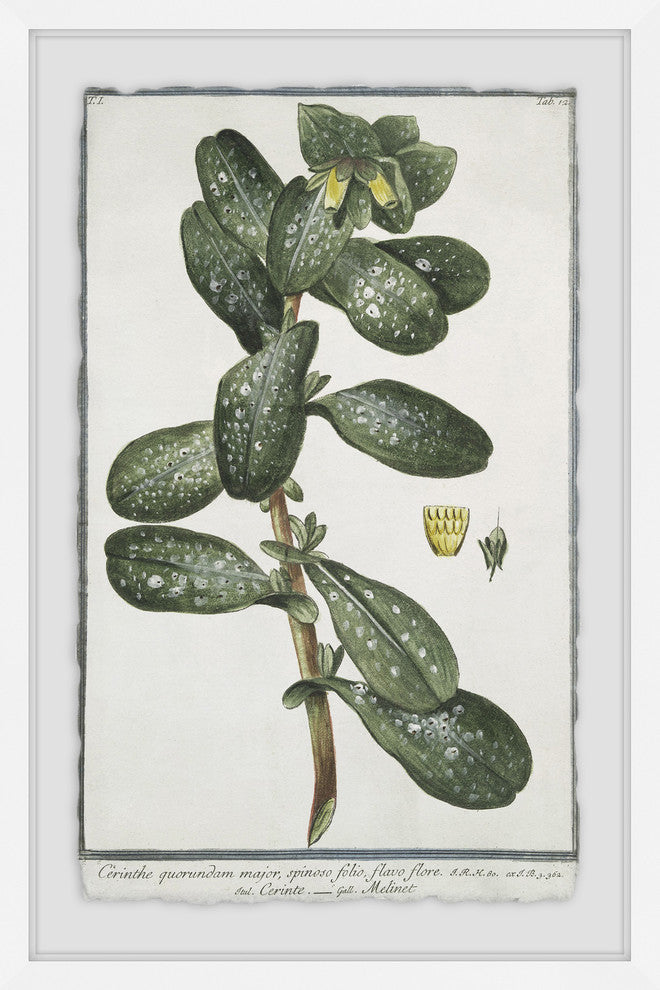"The Foliage" Framed Painting Print, 20"x30"