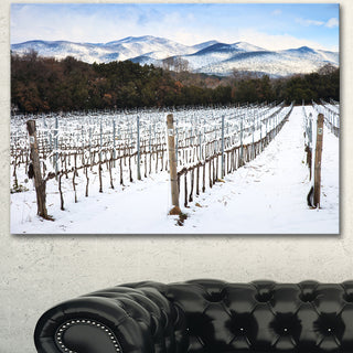 Snow Covered Vineyard Rows Italy, Extra Large Landscape Canvas Art, 40"x30"